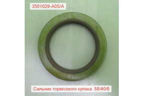 Сальник вала тормозного переднего J6